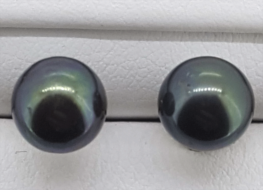 9ct yellow gold freshwater black pearl stud earrings